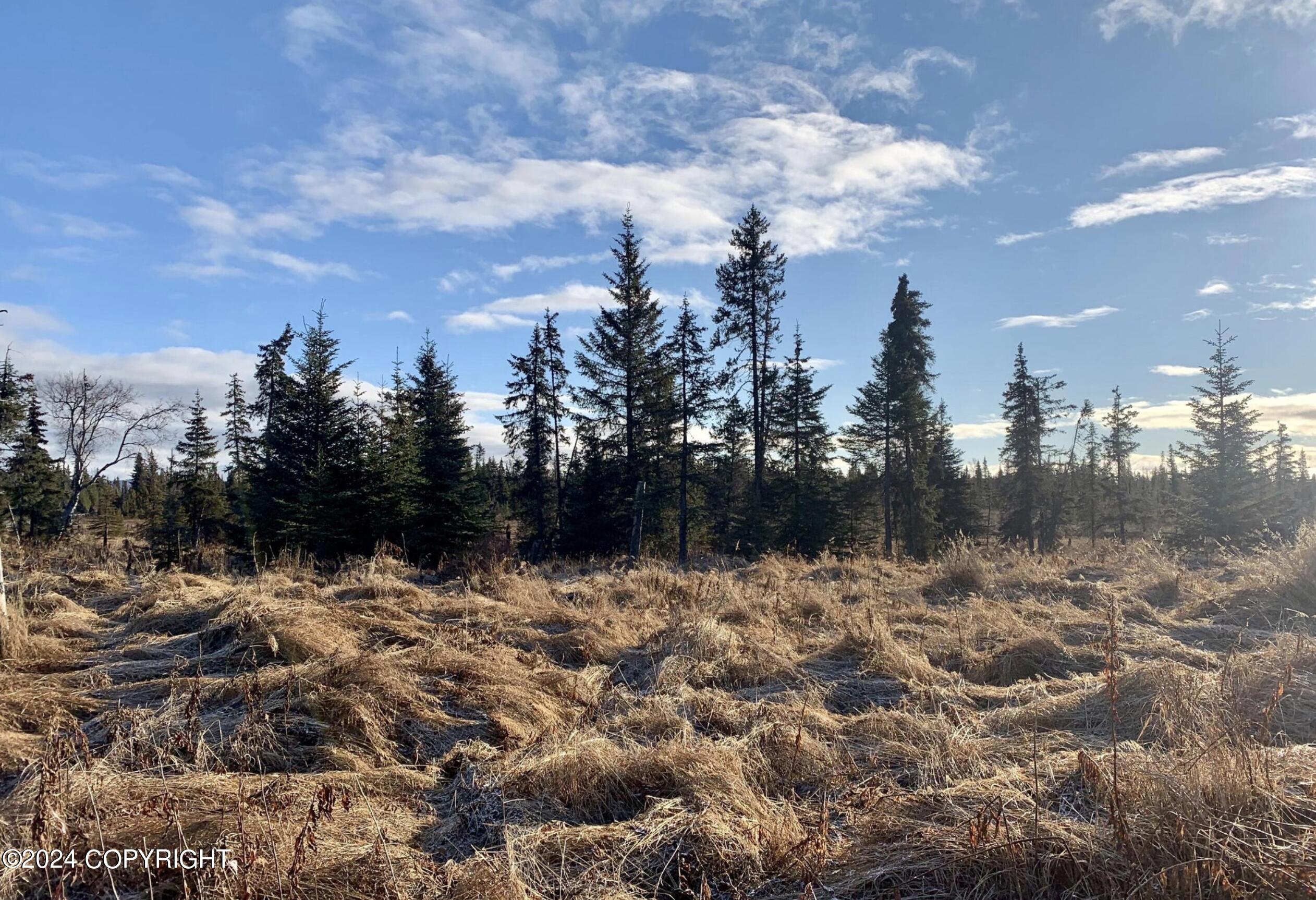 69840 W Haven Avenue, Anchor Point, Alaska image 2
