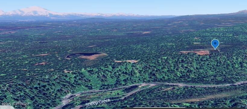 000 S Back Country Drive, Talkeetna, Idaho image 2