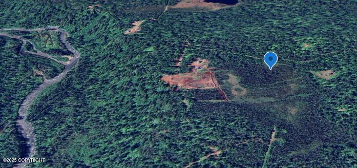 000 S Back Country Drive, Talkeetna, Idaho image 1
