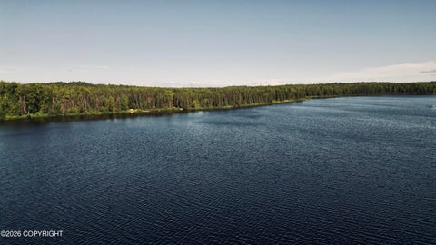 Vacant Land For Sale - TRACT E East Butterfly Lake<br/> Willow, AK 99688