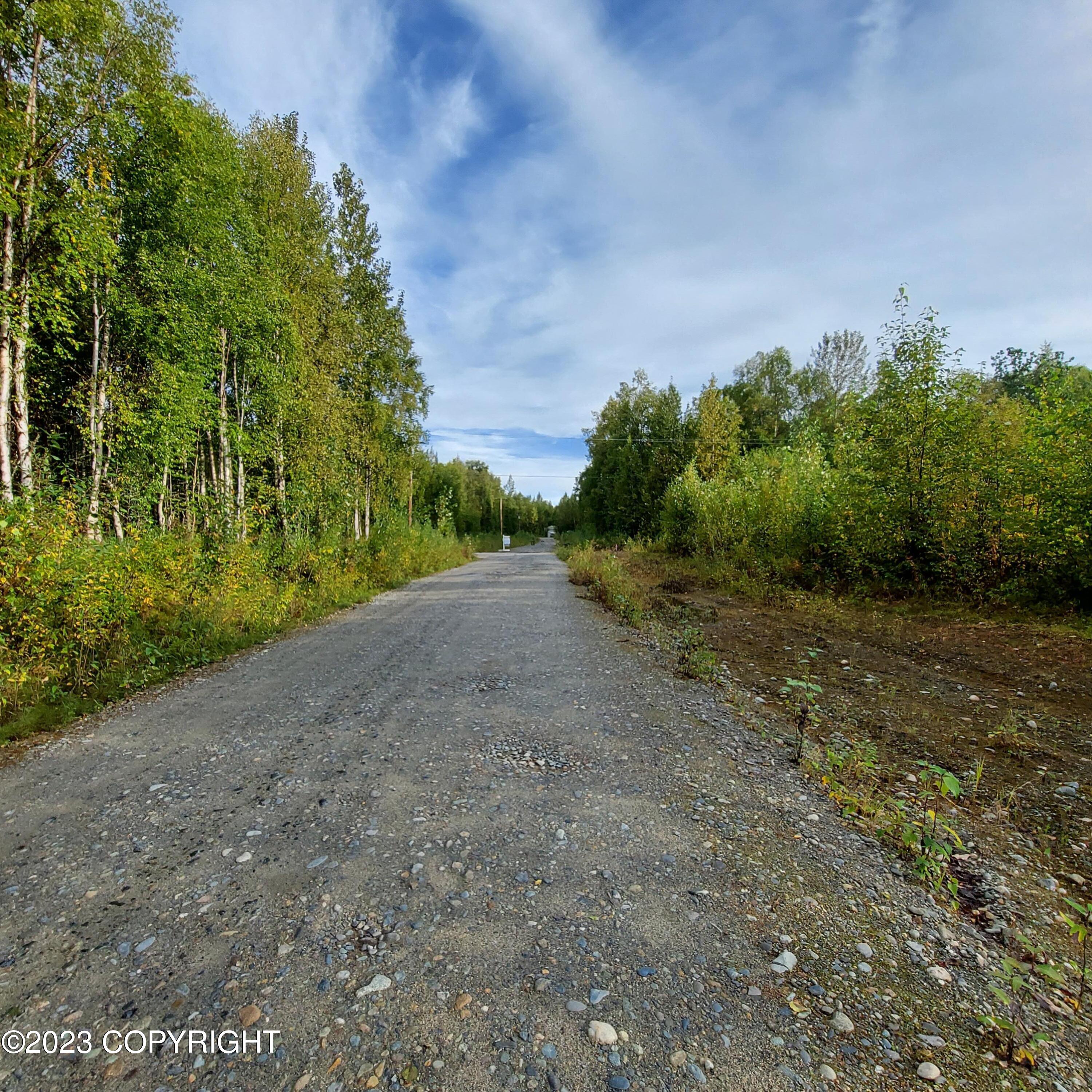 1969 S Clara Circle, Talkeetna, Alaska image 11