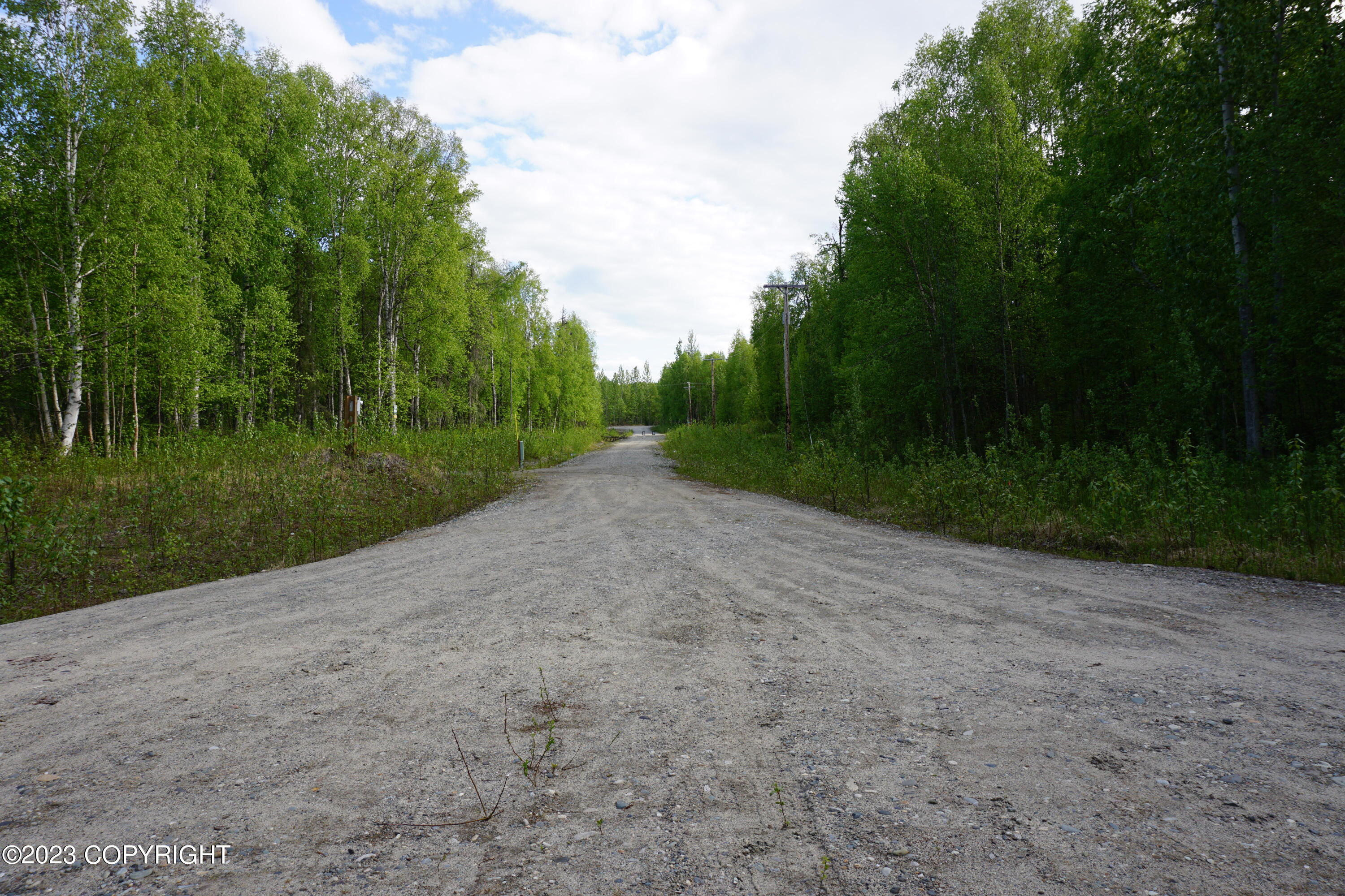 1969 S Clara Circle, Talkeetna, Alaska image 10