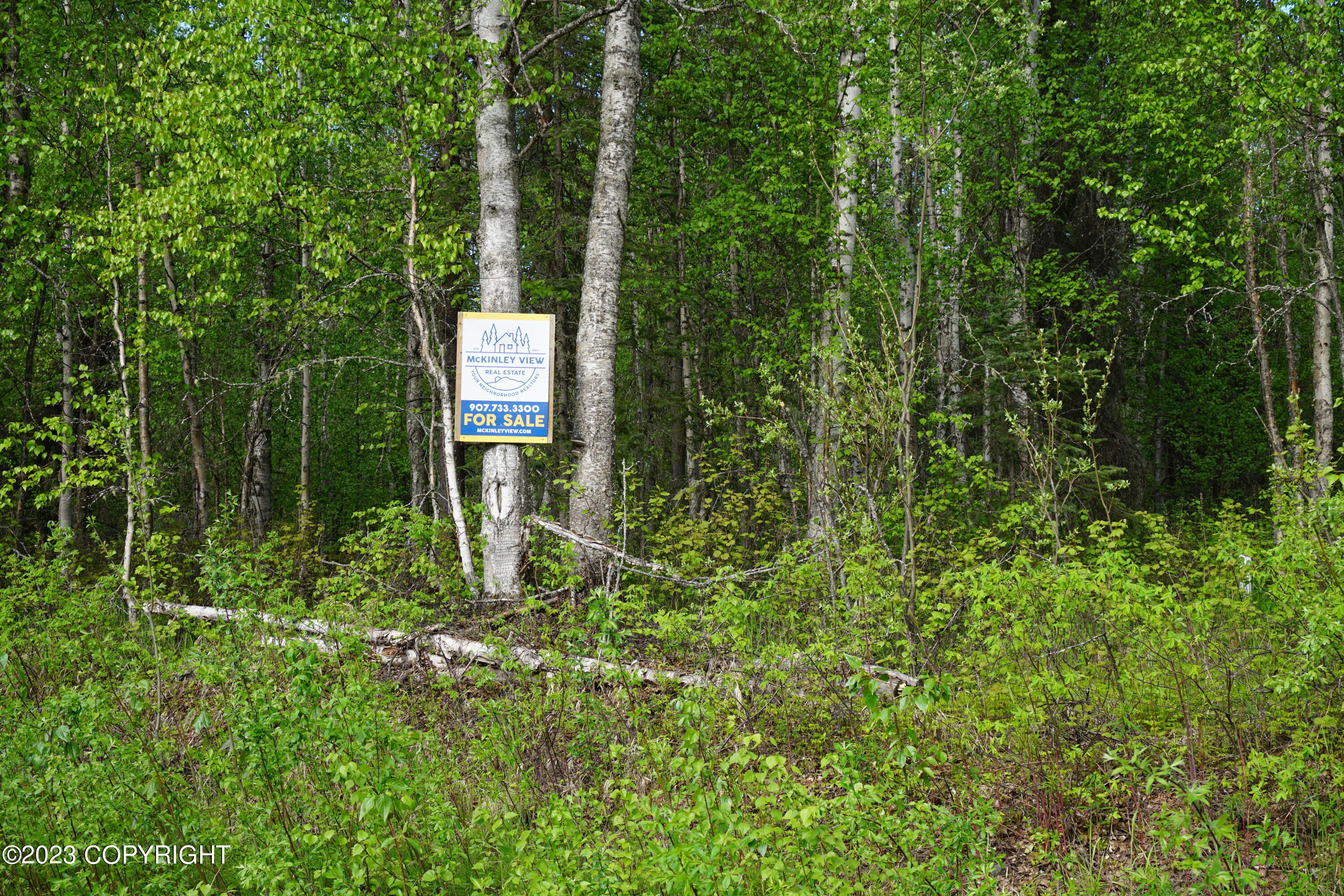 1969 S Clara Circle, Talkeetna, Alaska image 8