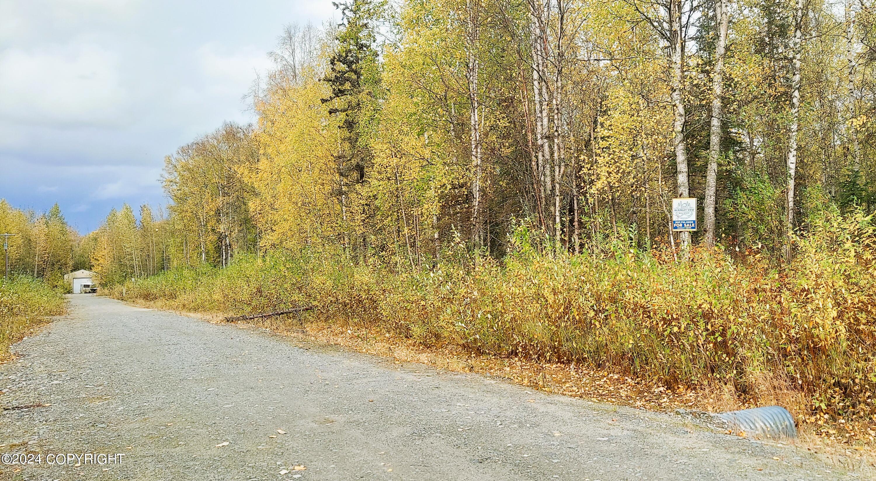 1969 S Clara Circle, Talkeetna, Alaska image 7