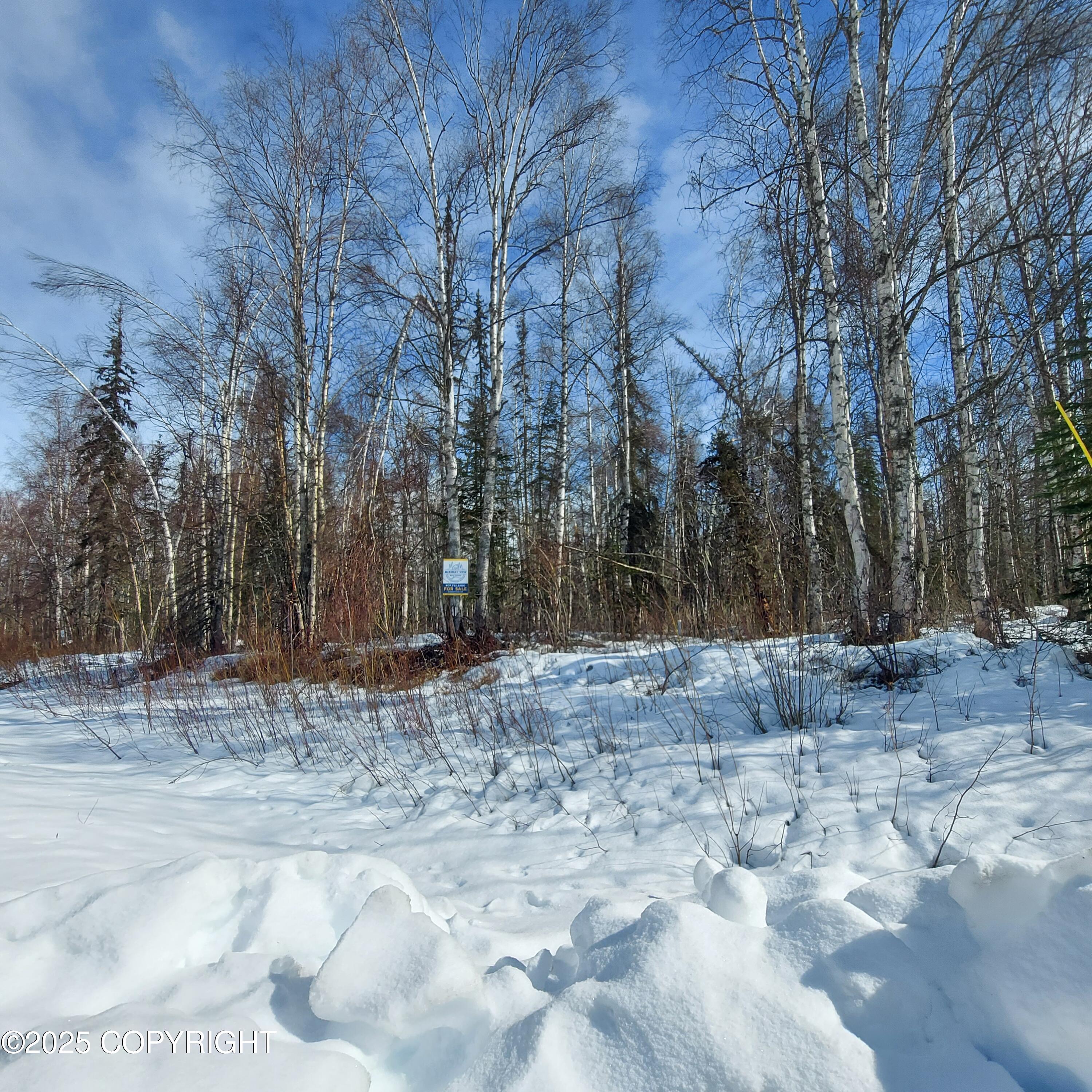 1969 S Clara Circle, Talkeetna, Alaska image 1