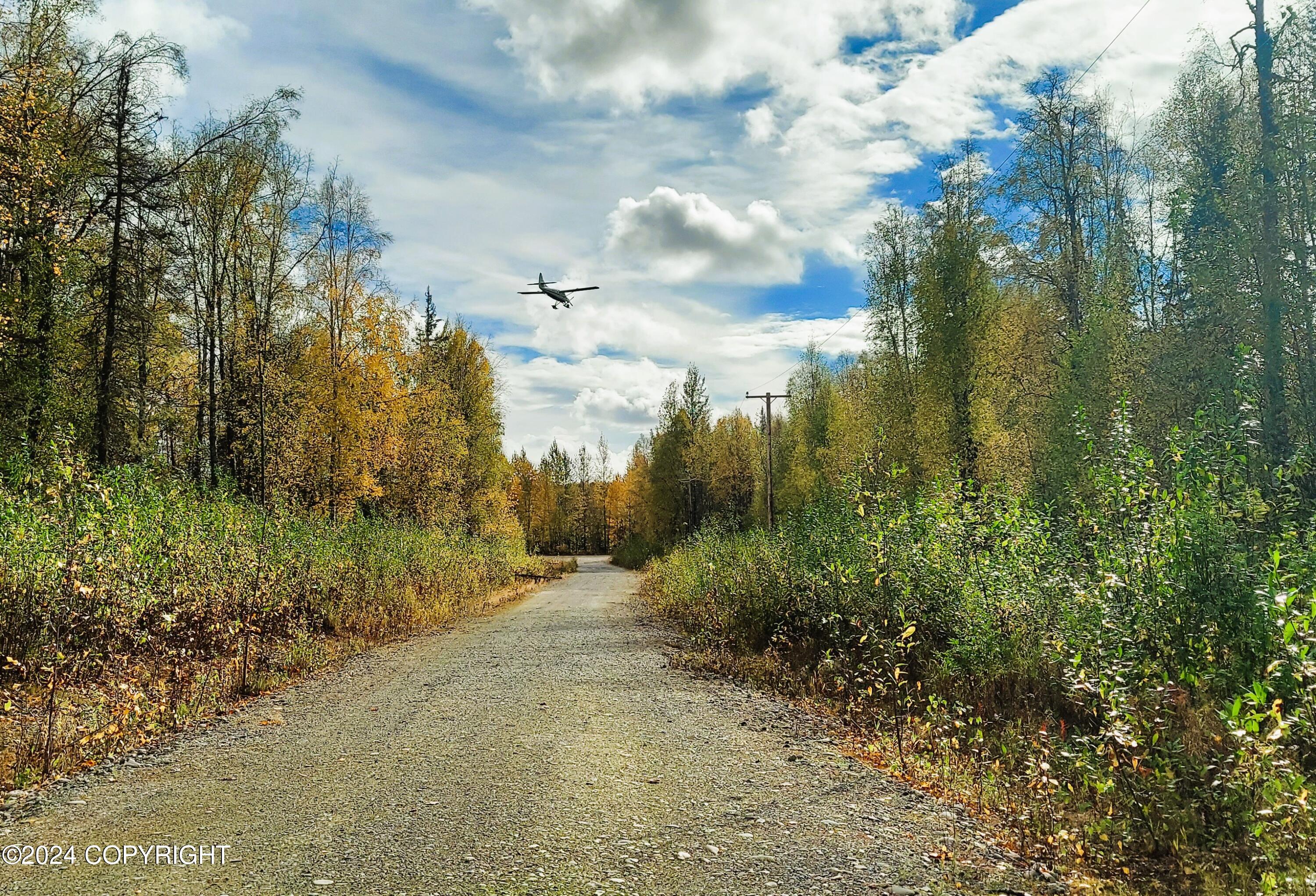 1969 S Clara Circle, Talkeetna, Alaska image 5