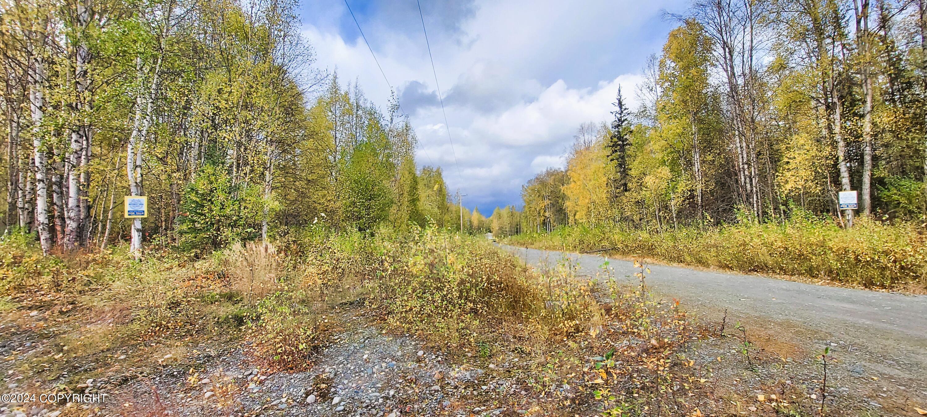 1969 S Clara Circle, Talkeetna, Alaska image 6