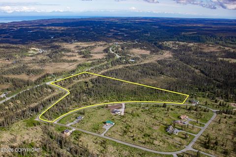 Vacant Land For Sale - 67225 Endless View Loop<br/> Homer, AK 99603