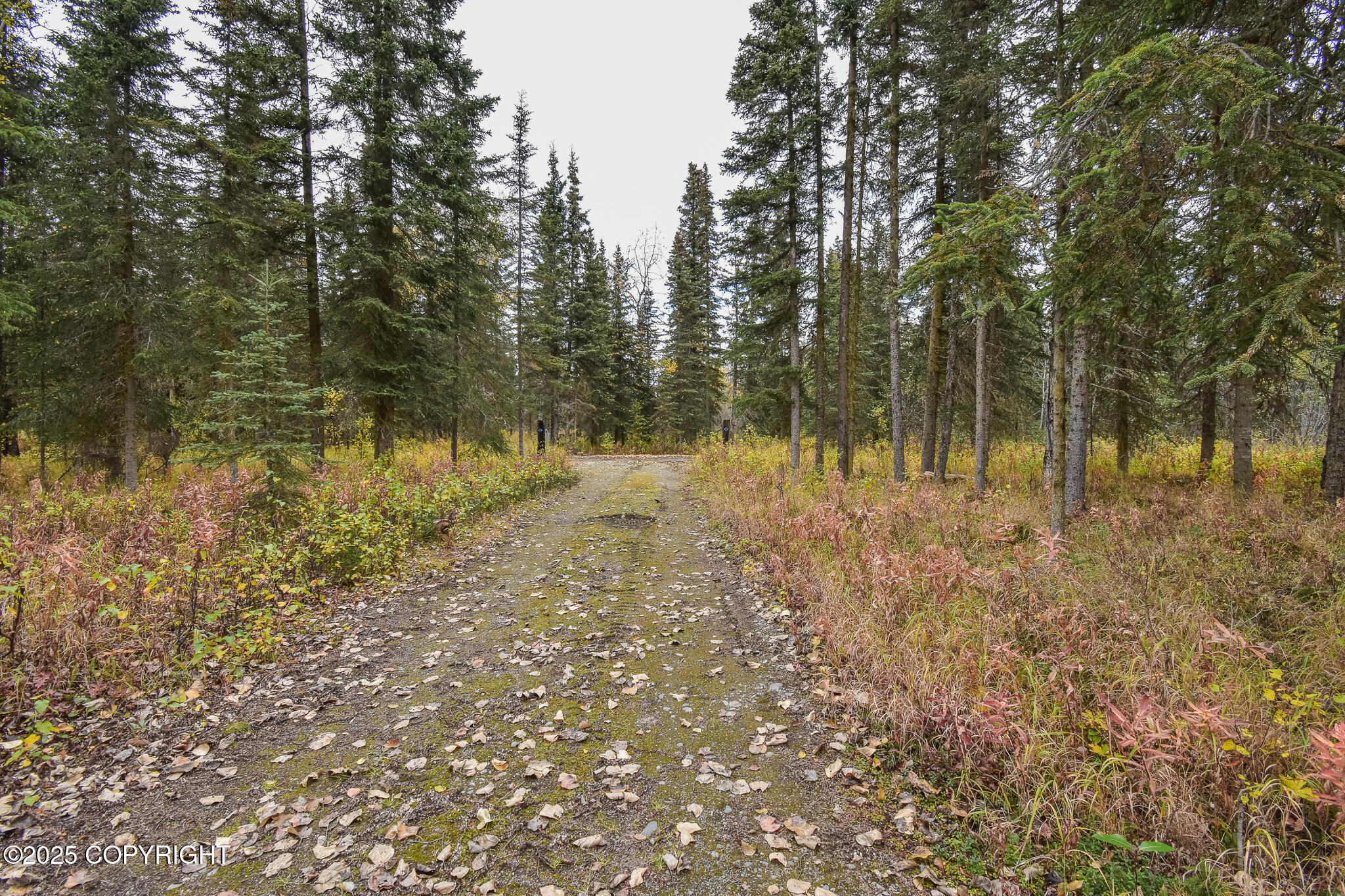 28358 Kalifornsky Beach Road, Kasilof, Alaska image 39