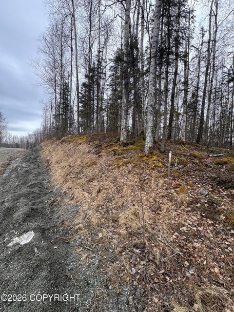 Vacant Land For Sale - 8538 W Cormorant Way<br/> Wasilla, AK 99623