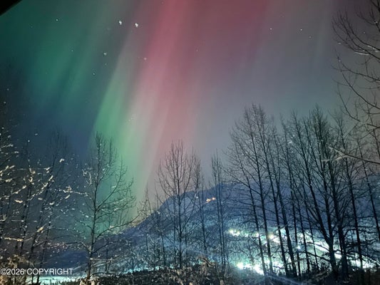 360 HIGHTOWER RD # 15, GIRDWOOD, AK 99587 - Image bcb04f67d099dffaac6b8159ddc4ea10/238000219