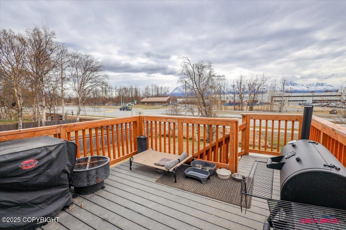 1130 W Auklet Avenue, Palmer, Alaska image 39