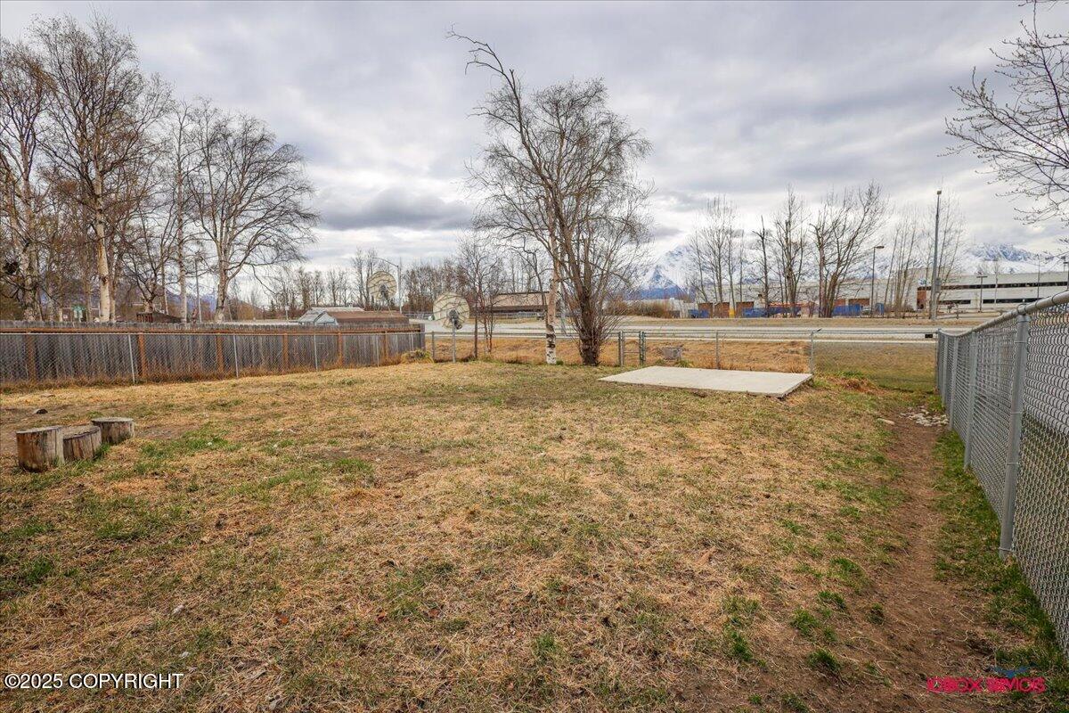 1130 W Auklet Avenue, Palmer, Alaska image 40