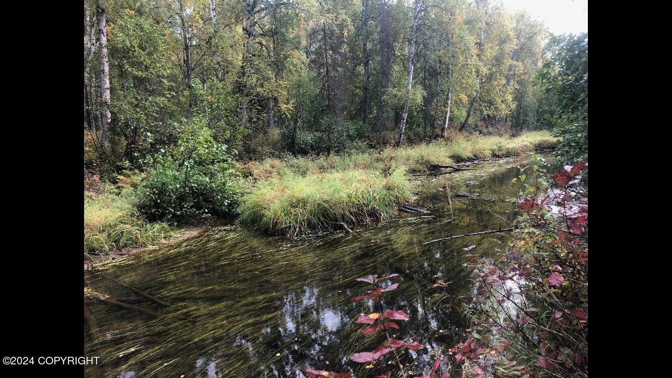 D006 E Walsted Drive, Talkeetna, Alaska image 1