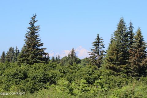 Photo of 17180 Hyila Lane, Ninilchik, AK 99639 (MLS # 26-5216)