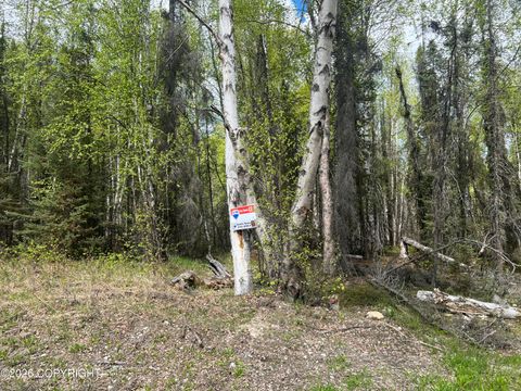 Vacant Land For Sale - 3762 N White Knight Drive<br/> Wasilla, AK 99654