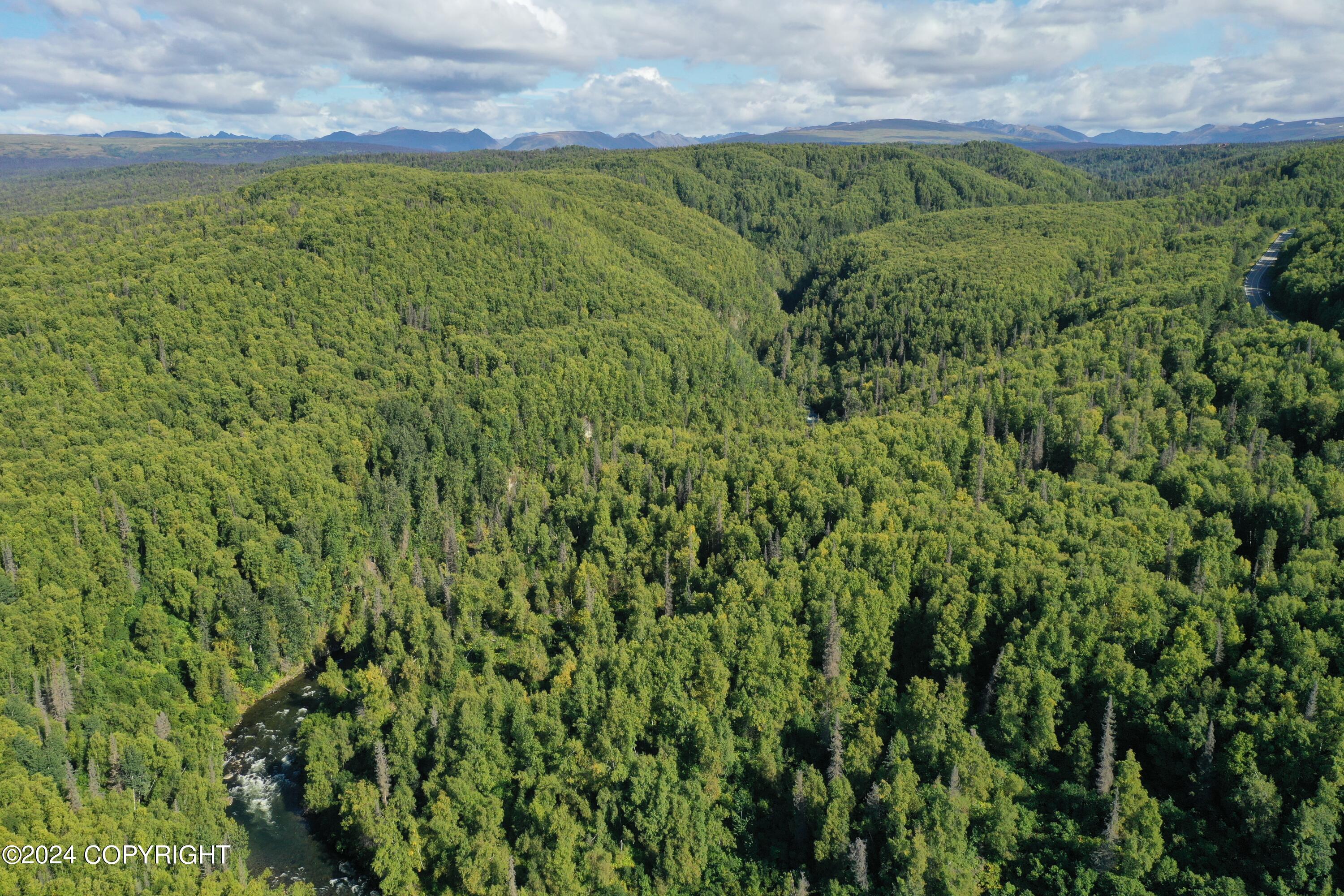 16613 N Woodward Circle, Willow, Alaska image 12