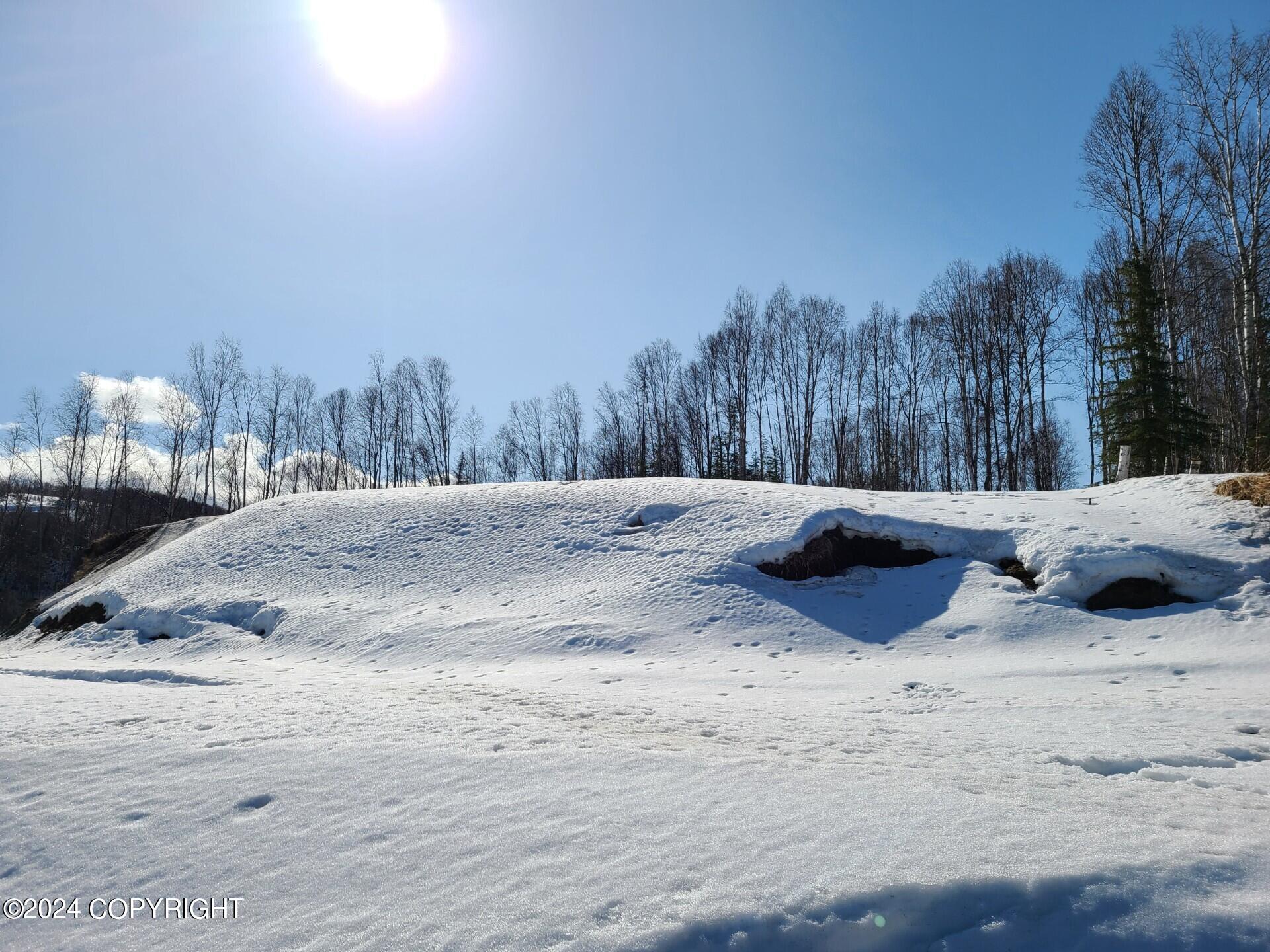 16613 N Woodward Circle, Willow, Alaska image 45