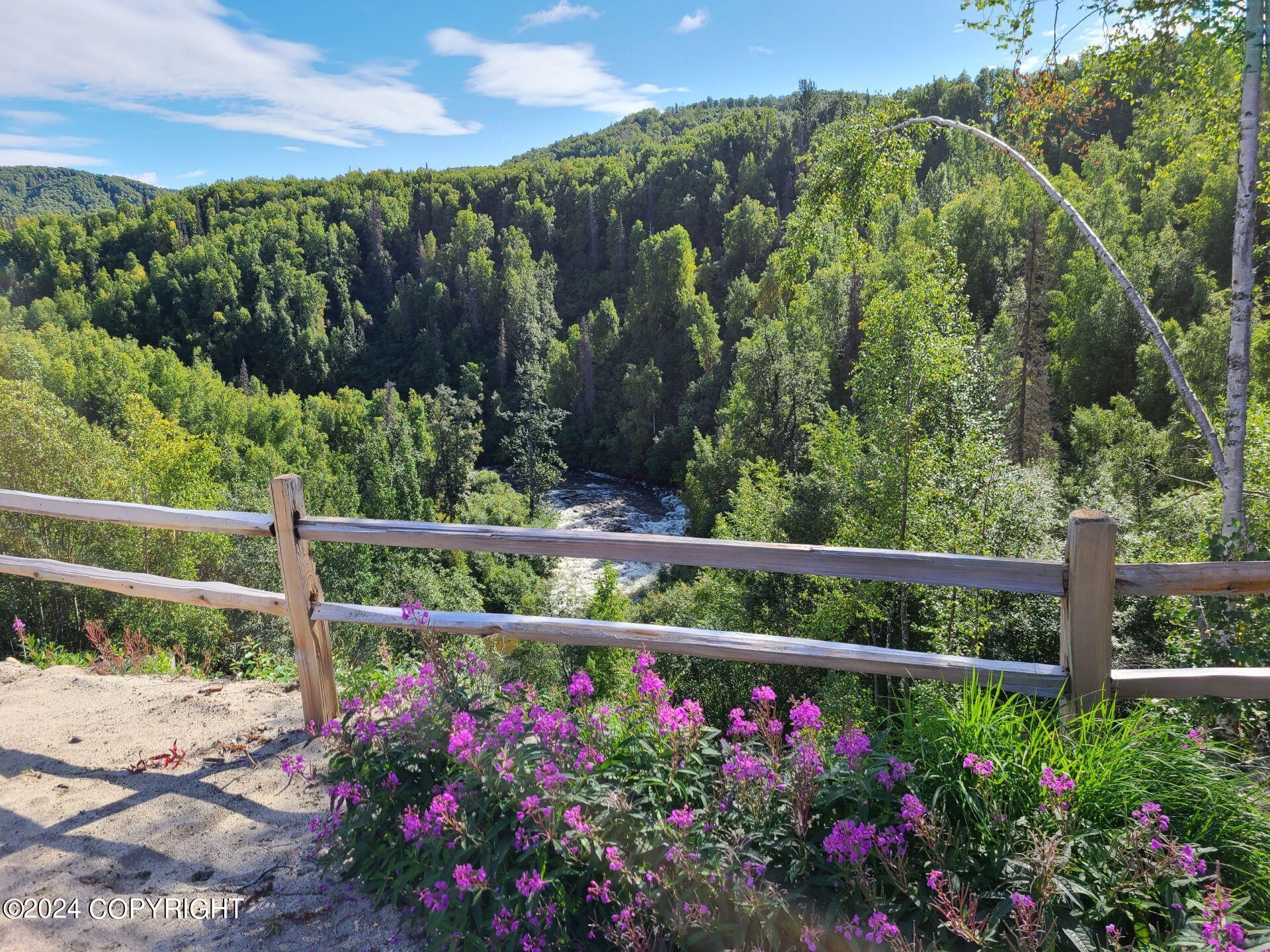16613 N Woodward Circle, Willow, Alaska image 27