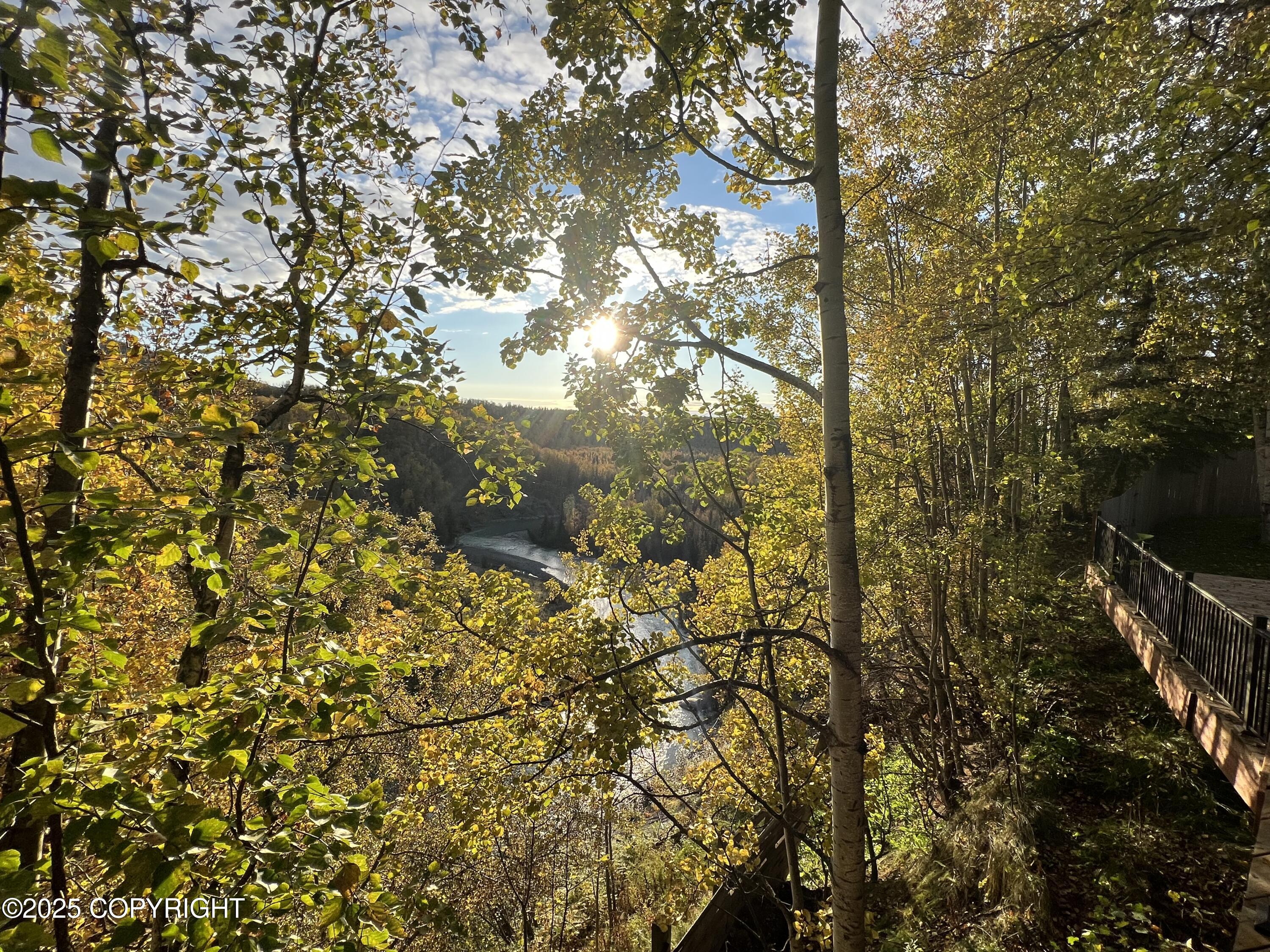 9198 W Parkview Terrace Loop Loop, Eagle River, Alaska image 14
