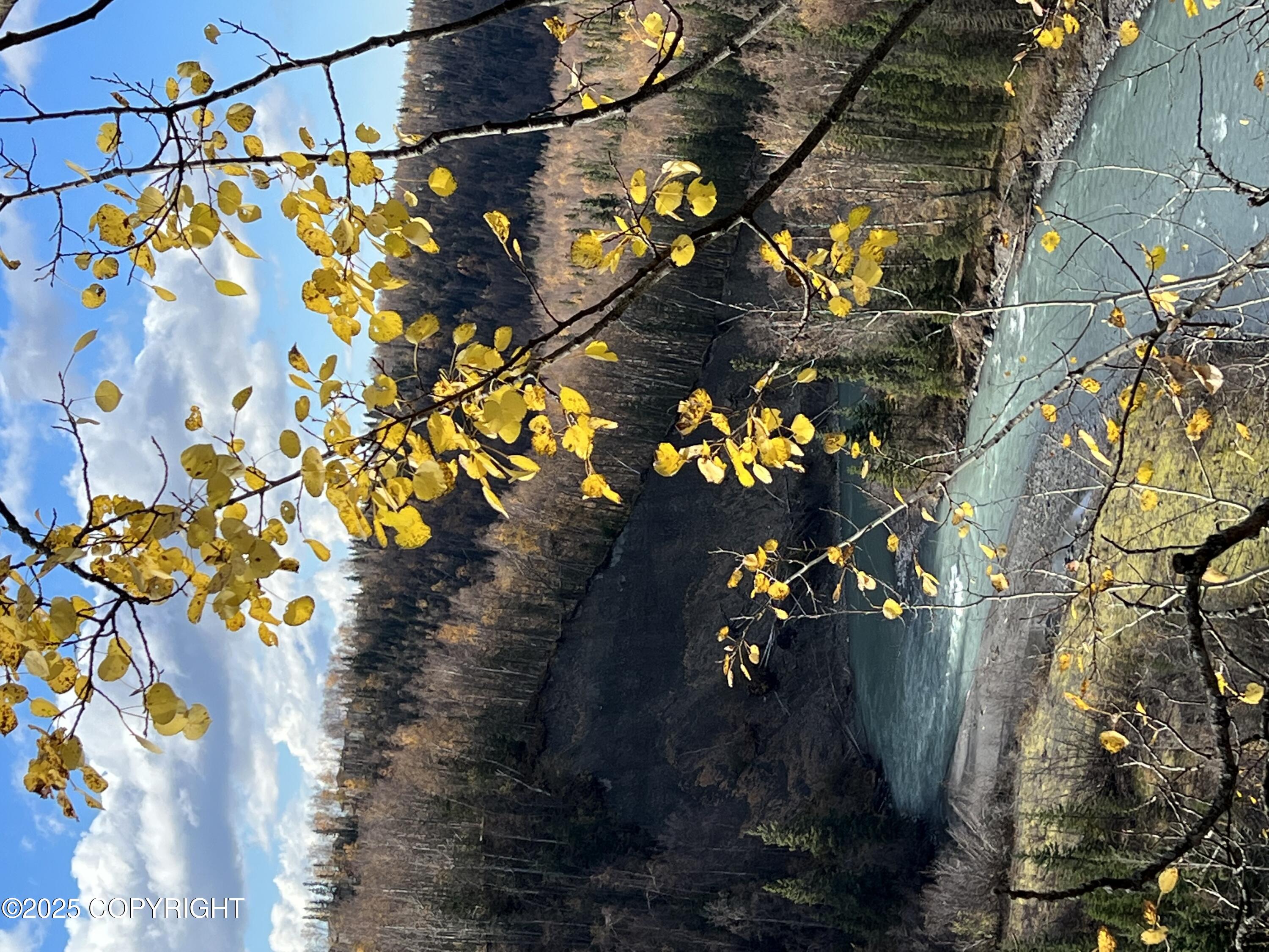 9198 W Parkview Terrace Loop Loop, Eagle River, Alaska image 16