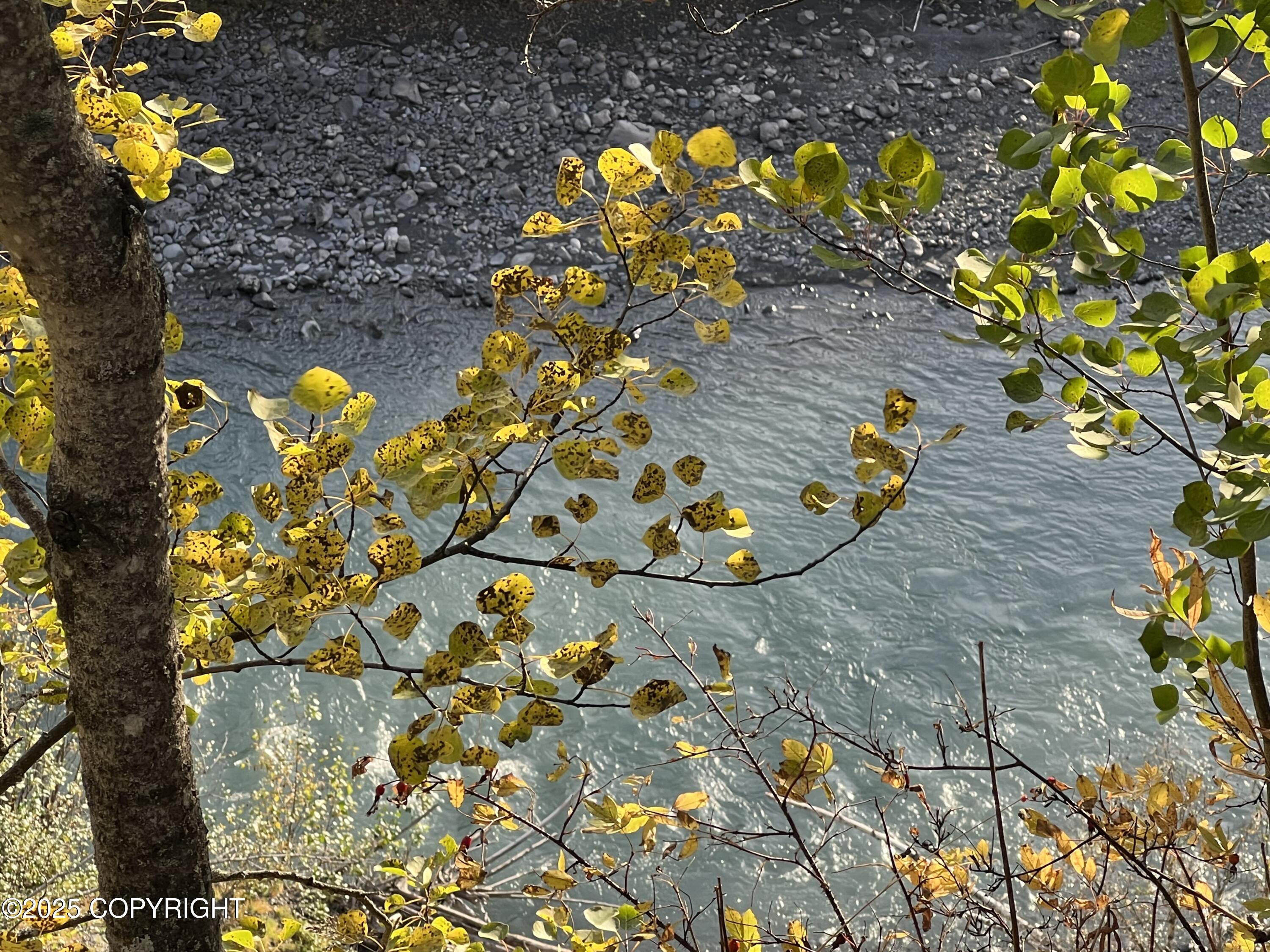9198 W Parkview Terrace Loop Loop, Eagle River, Alaska image 13