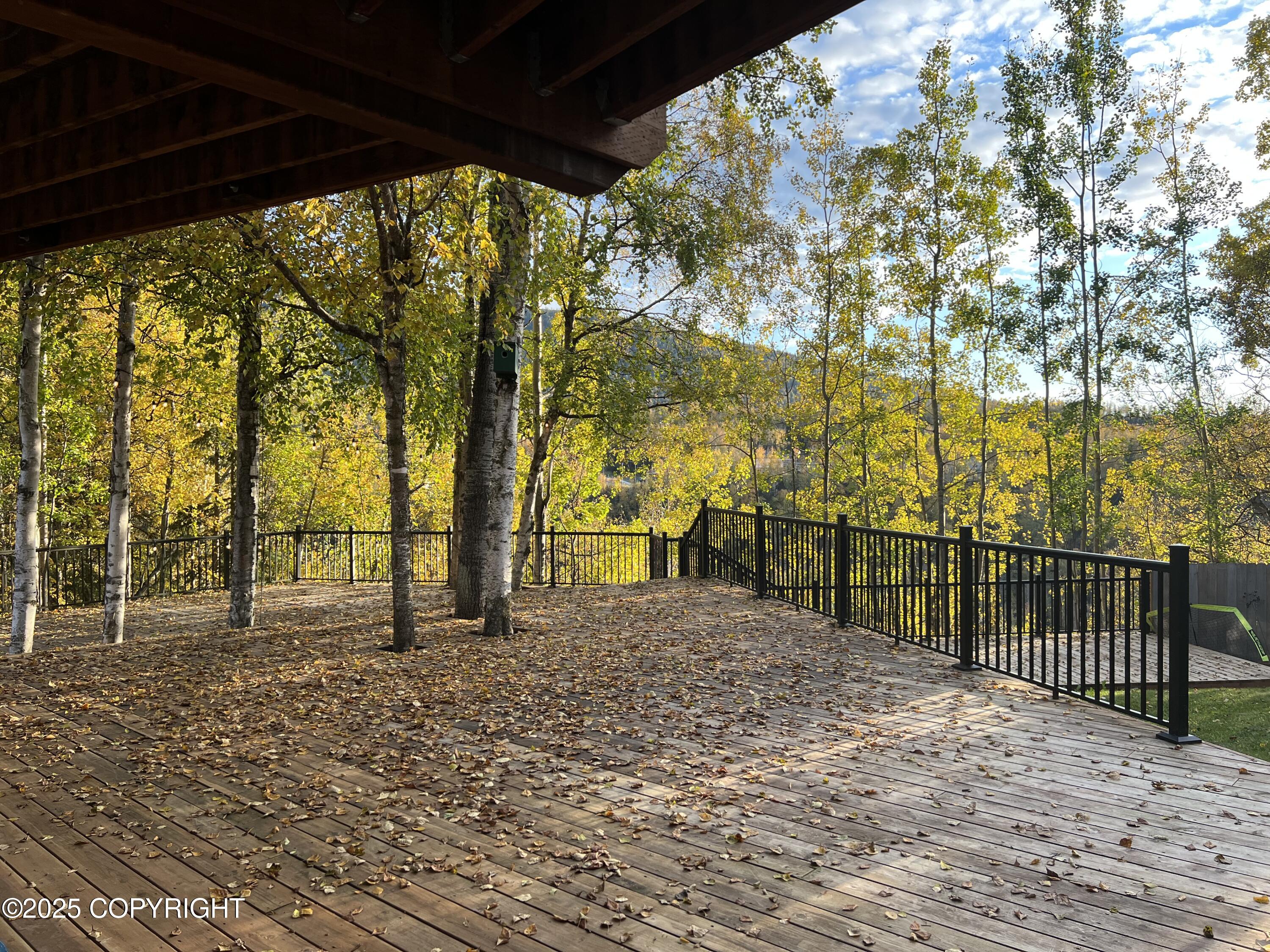 9198 W Parkview Terrace Loop Loop, Eagle River, Alaska image 12