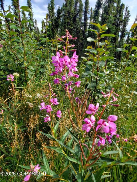 Vacant Land For Sale - L11 B1 Brenden Blvd<br/> Copper Center, AK 99573