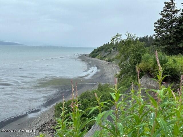 Homer, Alaska 99603, United States, ,Land,Active,54745