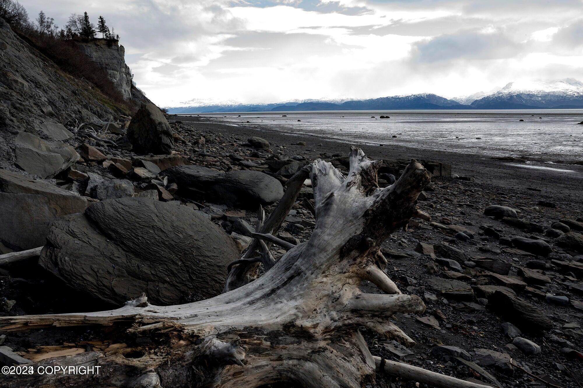 Homer, Alaska 99603, United States, ,Land,Active,54745