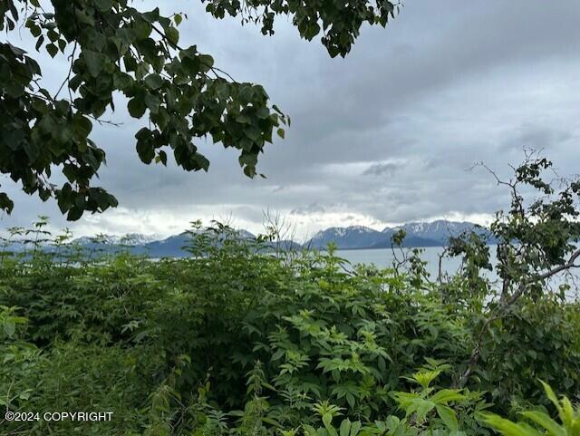 Homer, Alaska 99603, United States, ,Land,Active,54745