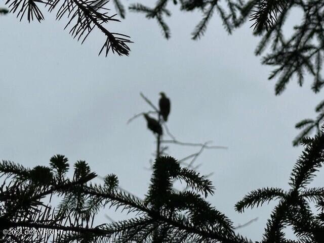 Homer, Alaska 99603, United States, ,Land,Active,54745