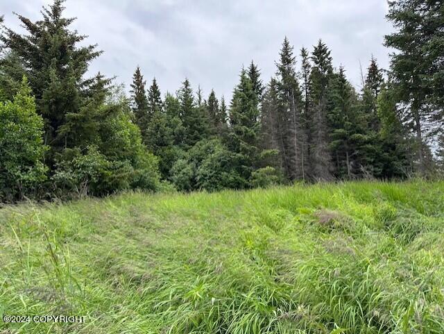 Homer, Alaska 99603, United States, ,Land,Active,54745