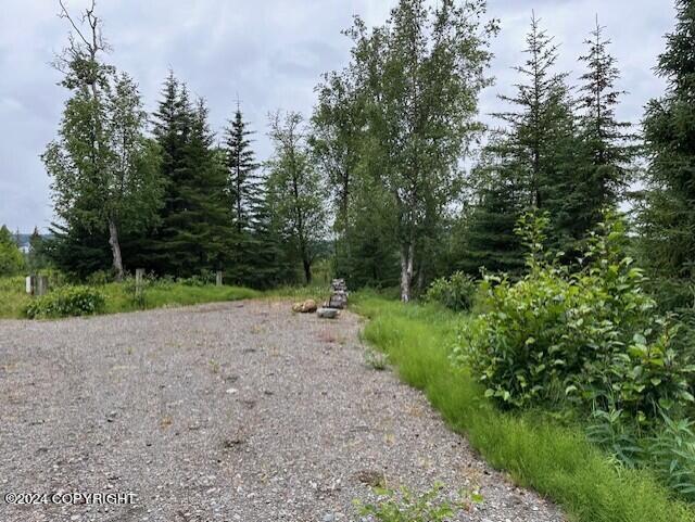 Homer, Alaska 99603, United States, ,Land,Active,54745