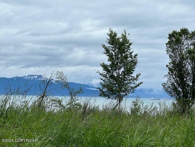 Homer, Alaska 99603, United States, ,Land,Active,54745