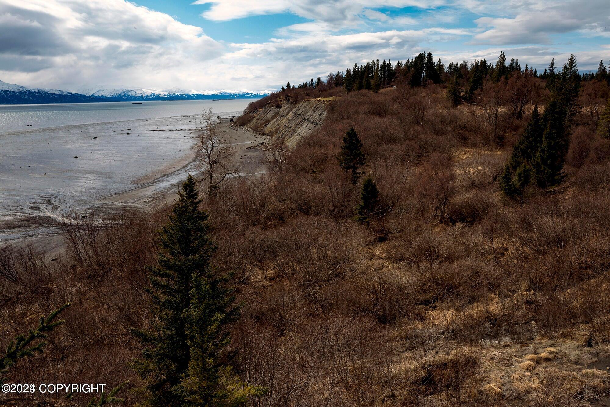 Homer, Alaska 99603, United States, ,Land,Active,54745
