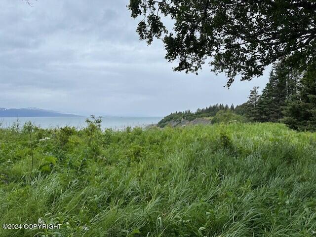 Homer, Alaska 99603, United States, ,Land,Active,54745