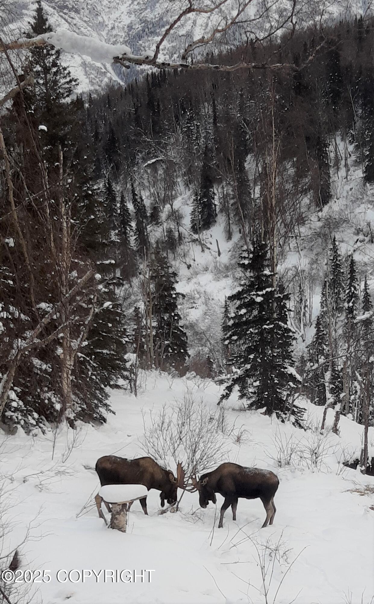 Eagle River, Alaska 99577, United States, 2 Bedrooms Bedrooms, ,1 BathroomBathrooms,Residential,Pending,186933