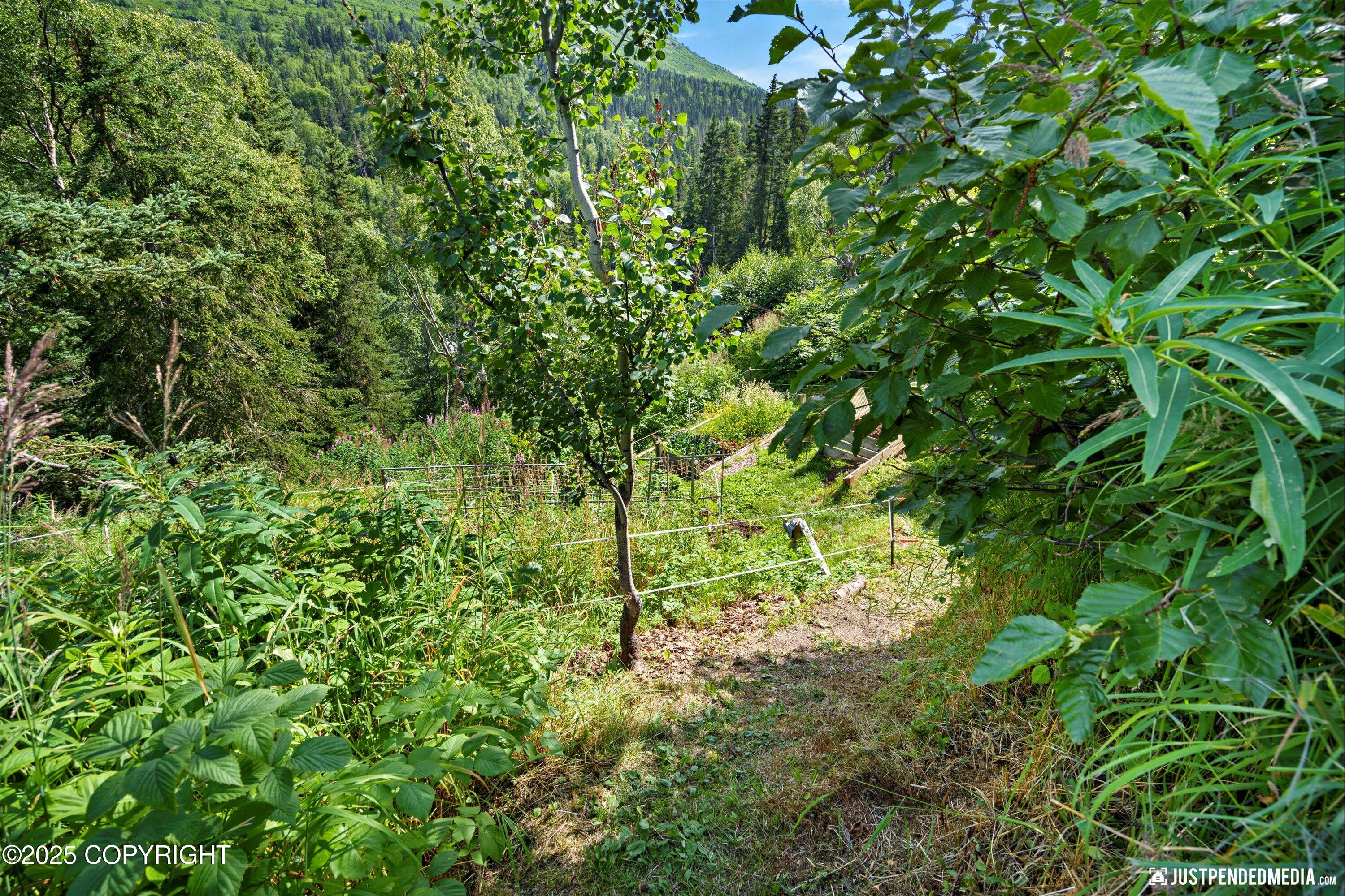 Eagle River, Alaska 99577, United States, 2 Bedrooms Bedrooms, ,1 BathroomBathrooms,Residential,Pending,186933