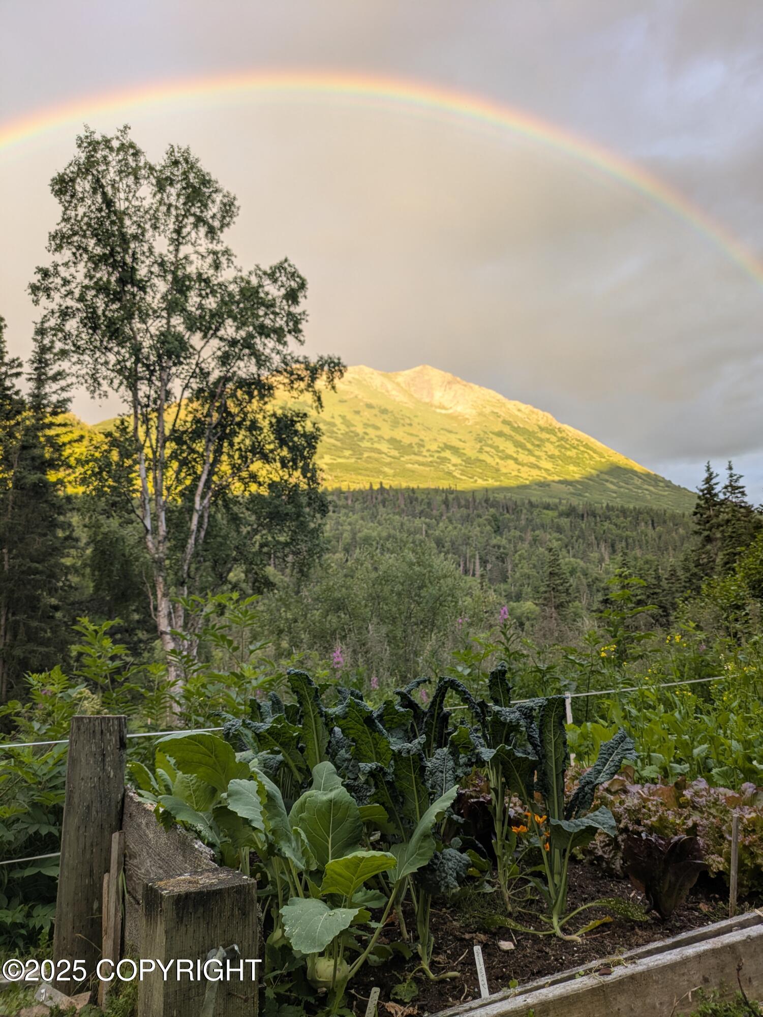 Eagle River, Alaska 99577, United States, 2 Bedrooms Bedrooms, ,1 BathroomBathrooms,Residential,Pending,186933