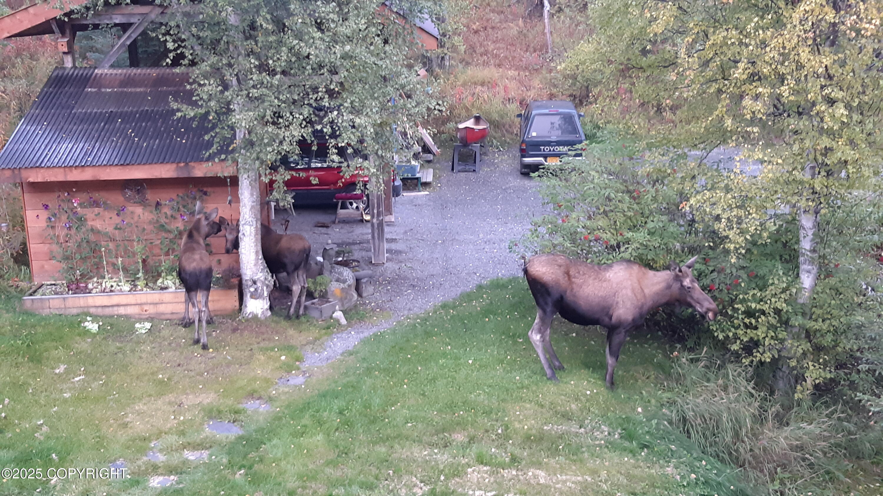 Eagle River, Alaska 99577, United States, 2 Bedrooms Bedrooms, ,1 BathroomBathrooms,Residential,Pending,186933