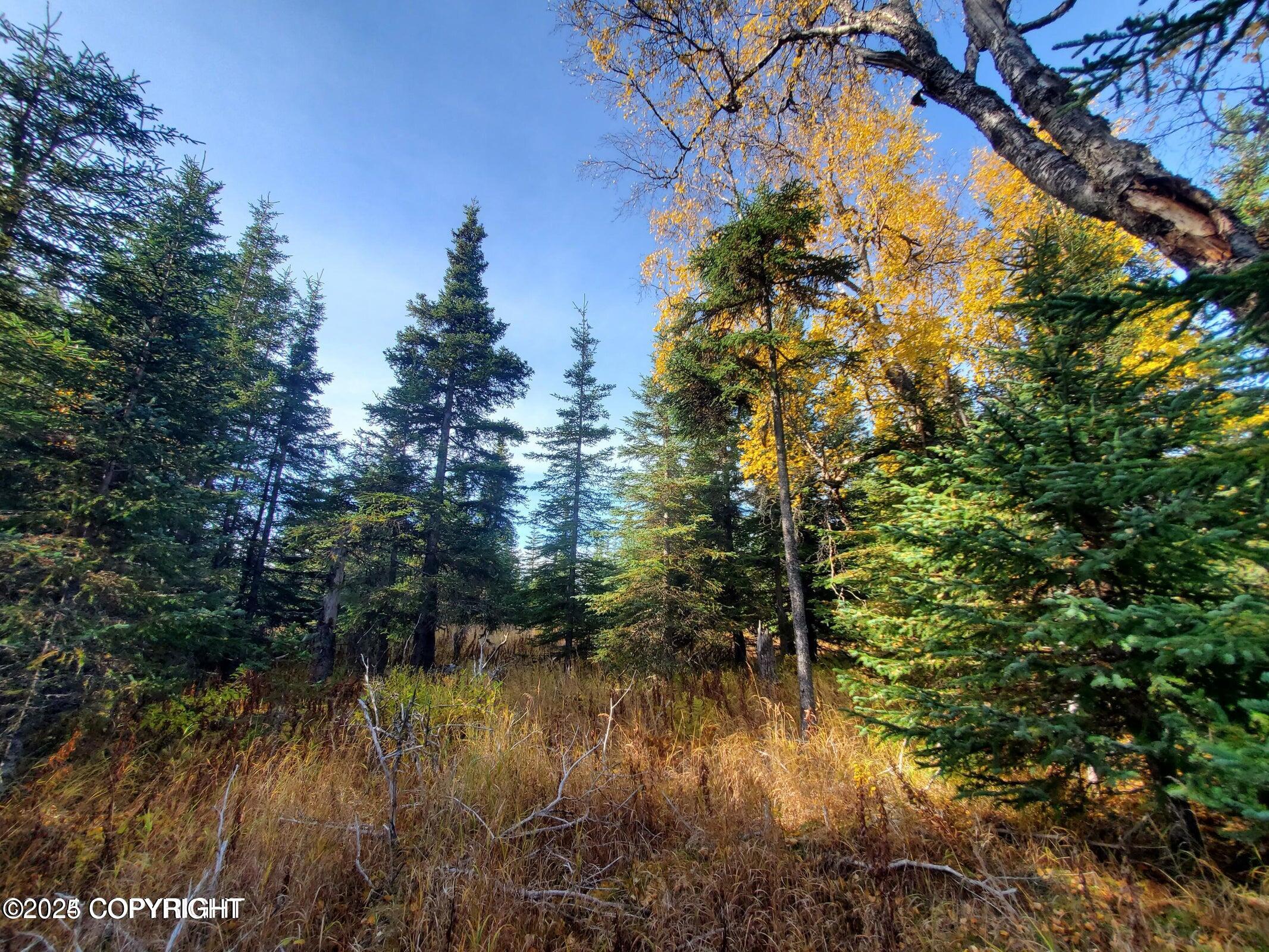 67050 Homestead Road, Ninilchik, Alaska image 2