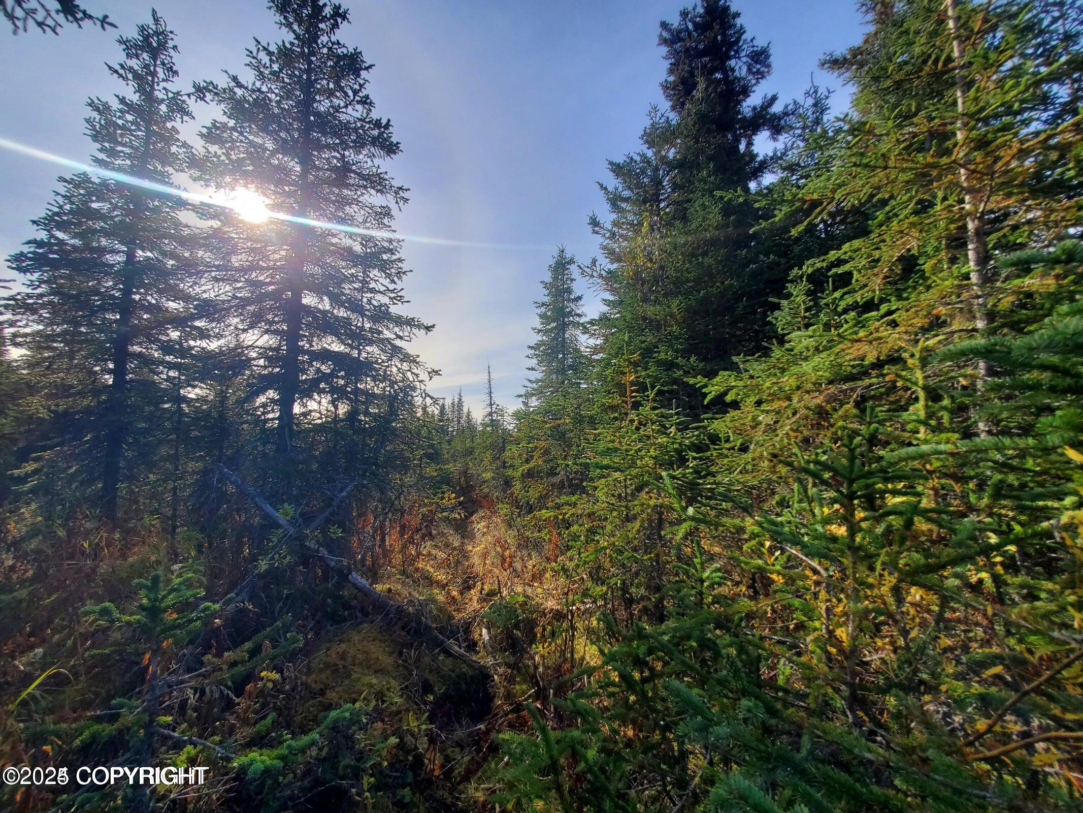67050 Homestead Road, Ninilchik, Alaska image 6