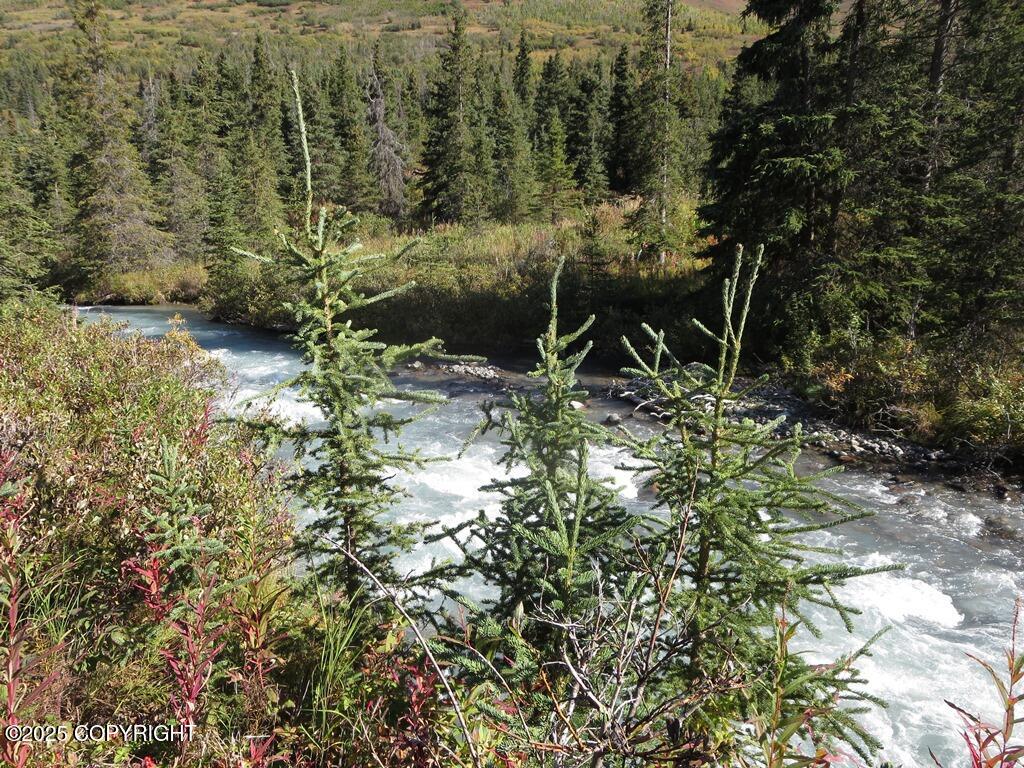L6 River Circle, Eagle River, Alaska image 1