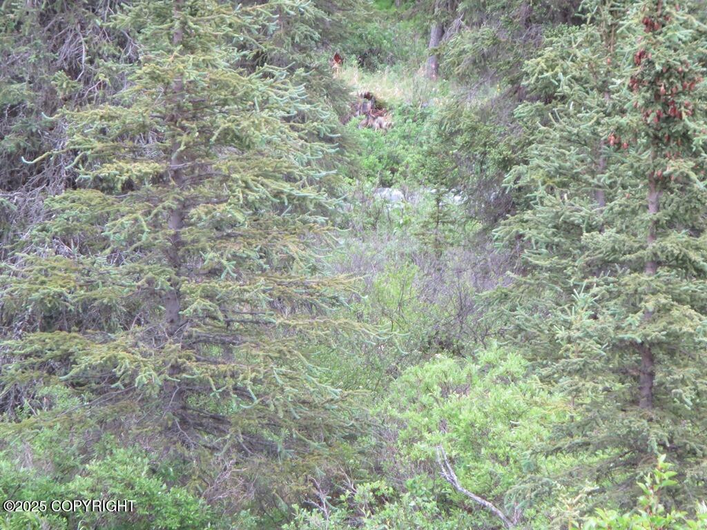 L6 River Circle, Eagle River, Alaska image 4