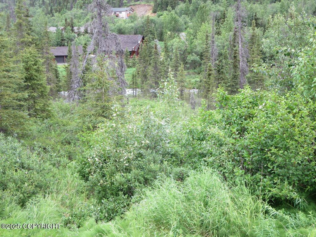 L6 River Circle, Eagle River, Alaska image 5