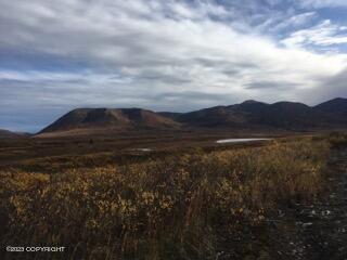 9170 S Cache Creek Drive, Trapper Creek, Alaska image 28