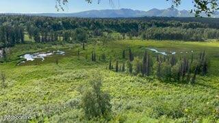 9170 S Cache Creek Drive, Trapper Creek, Alaska image 14