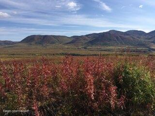 9170 S Cache Creek Drive, Trapper Creek, Alaska image 13