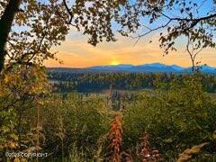 9170 S Cache Creek Drive, Trapper Creek, Alaska image 9